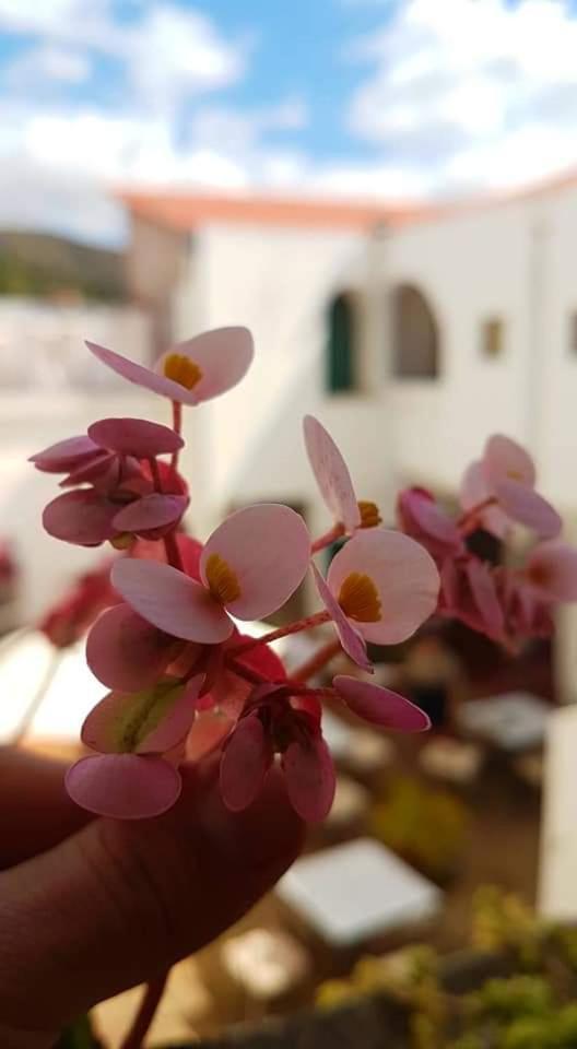Hotel Casablanca サマイパタ エクステリア 写真